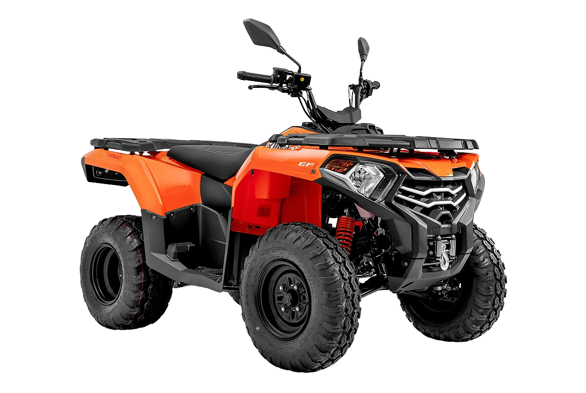 Voge X-Wolf 300